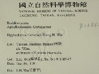 登錄號:F0013862藏品圖，第2張