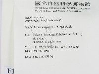 剛毛絲皮菌藏品圖，第2張