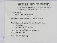 登錄號:F0013864藏品圖，第2張