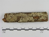 登錄號:F0013864藏品圖，第1張