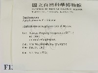 登錄號:F0013865藏品圖，第2張