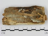 登錄號:F0013865藏品圖，第1張