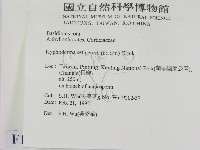 剛毛絲皮菌藏品圖，第2張