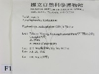 登錄號:F0013869藏品圖，第2張