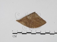 登錄號:F0013872藏品圖，第3張