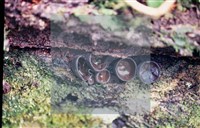 登錄號:F0013873藏品圖，第5張