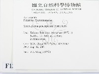 登錄號:F0013874藏品圖，第2張