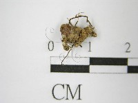 登錄號:F0013874藏品圖，第4張