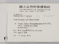 登錄號:F0013875藏品圖，第2張