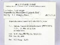 登錄號:F0013878藏品圖，第2張