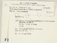 登錄號:F0013879藏品圖，第2張