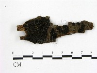 登錄號:F0013880藏品圖，第1張