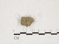 登錄號:F0013881藏品圖，第1張