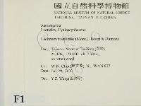 登錄號:F0013882藏品圖，第2張