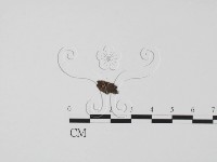 登錄號:F0013882藏品圖，第1張