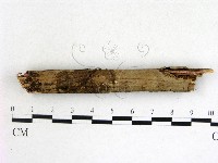 登錄號:F0013883藏品圖，第1張