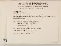 登錄號:F0013885藏品圖，第2張