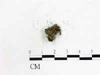 登錄號:F0013886藏品圖，第1張