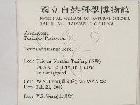 登錄號:F0013889藏品圖，第2張