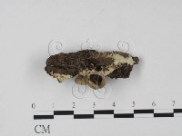 登錄號:F0013889藏品圖，第3張