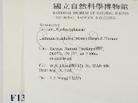 登錄號:F0013891藏品圖，第2張