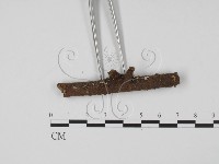 登錄號:F0013891藏品圖，第1張