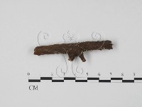 登錄號:F0013891藏品圖，第3張