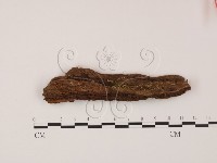 登錄號:F0013892藏品圖，第1張