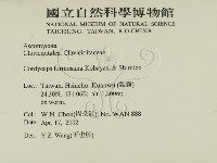 登錄號:F0013893藏品圖，第2張