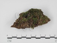 登錄號:F0013894藏品圖，第1張