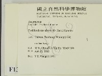 登錄號:F0013895藏品圖，第2張