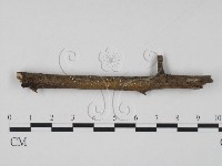 登錄號:F0013895藏品圖，第1張