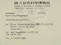 登錄號:F0013896藏品圖，第2張