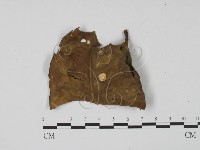 登錄號:F0013896藏品圖，第3張