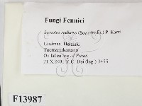 登錄號:F0013897藏品圖，第2張