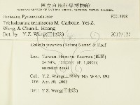 登錄號:F0013898藏品圖，第2張