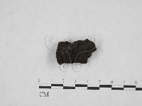 登錄號:F0013898藏品圖，第3張