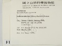 登錄號:F0013900藏品圖，第2張