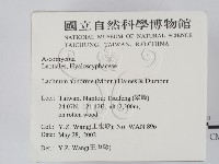 登錄號:F0013901藏品圖，第2張