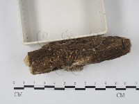 登錄號:F0013901藏品圖，第1張