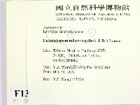 登錄號:F0013903藏品圖，第2張