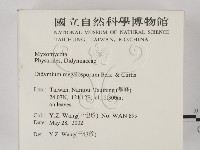 登錄號:F0013904藏品圖，第2張