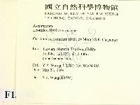 登錄號:F0013907藏品圖，第2張