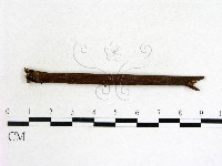 登錄號:F0013907藏品圖，第1張
