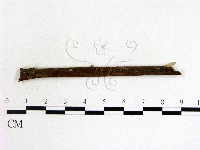 登錄號:F0013907藏品圖，第3張