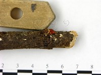 登錄號:F0013910藏品圖，第3張