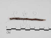 登錄號:F0013911藏品圖，第4張