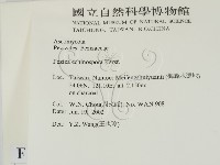 登錄號:F0013912藏品圖，第2張