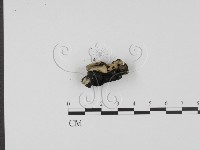 登錄號:F0013912藏品圖，第4張