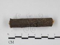 登錄號:F0013913藏品圖，第1張